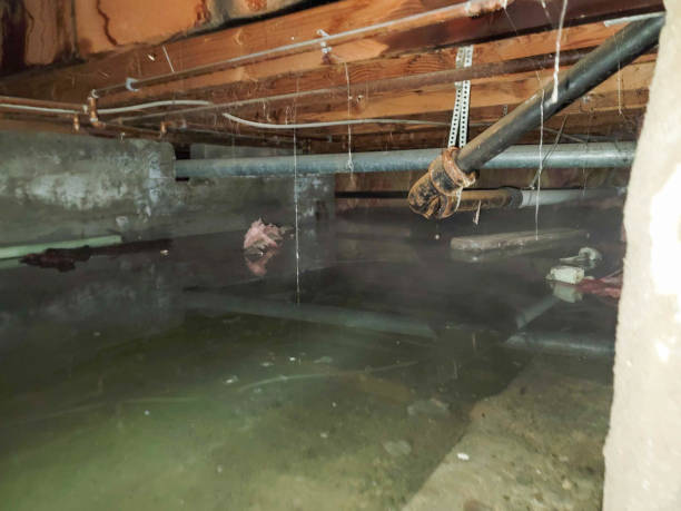 Best Water damage restoration specialists  in Moncks Corner, SC