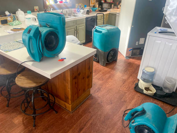 Best Water damage contractors near me  in Moncks Corner, SC