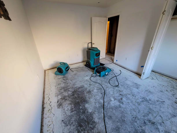 Best Water damage restoration near me  in Moncks Corner, SC