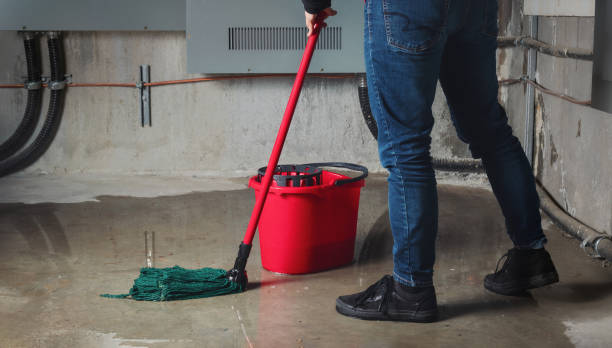 Best Basement water damage restoration  in Moncks Corner, SC