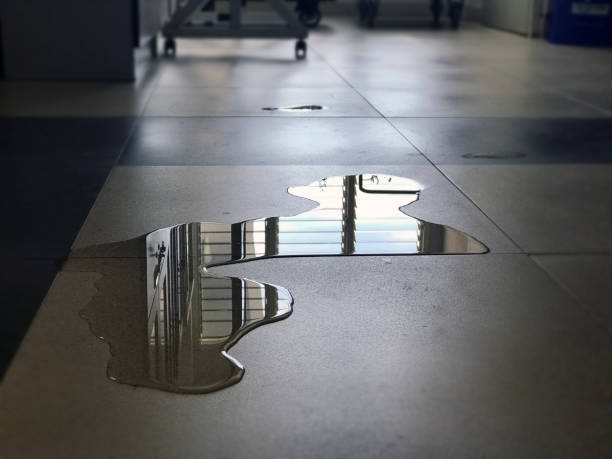 Best Professional water damage repair  in Moncks Corner, SC