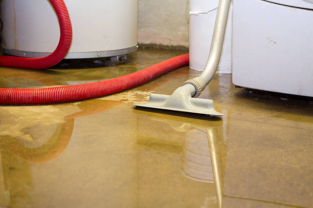Best 24/7 water damage repair  in Moncks Corner, SC