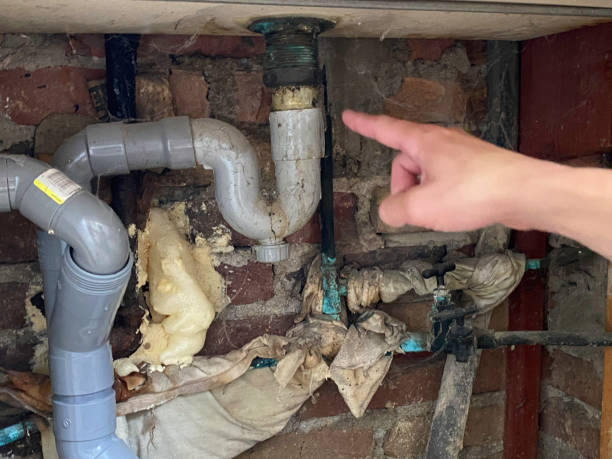 Best Water damage cleanup near me  in Moncks Corner, SC