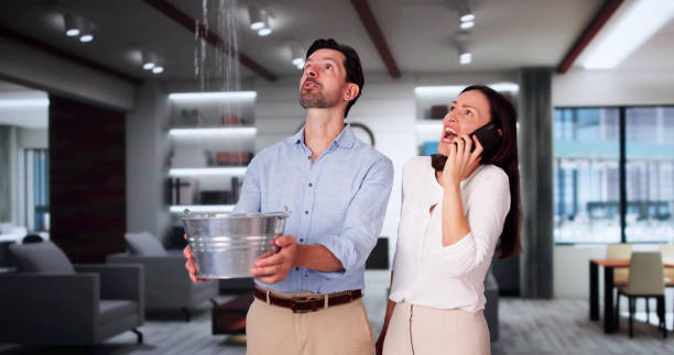 Best Carpet water damage restoration  in Moncks Corner, SC