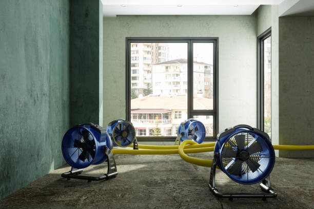 Best Water damage restoration near me  in Moncks Corner, SC