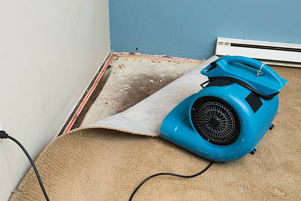 Best Flood damage cleanup  in Moncks Corner, SC